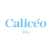 Caliceo